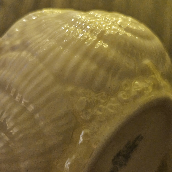 Belleek Toy Nautilus Shell Set - Picture 8 of 10